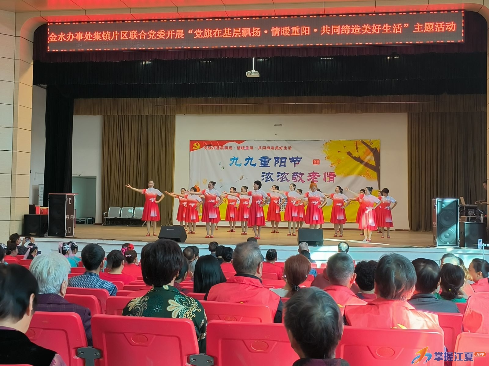 金水办事处与重阳共舞 党旗映照基层，情深系家园